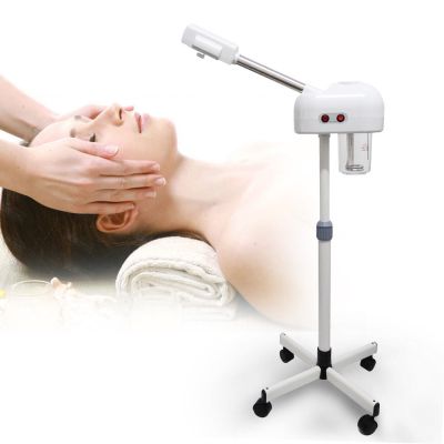 Steam Spa  Facial Slough